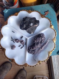 Image 5 of Maryland Winterfest SUPPLY KIT : Inspired by Nature