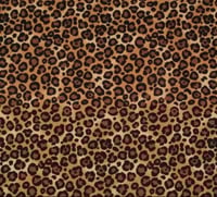  Leopard Print 2
