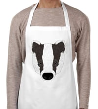 Image 1 of Badgers