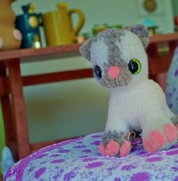 Image 1 of Kitty Cat