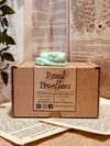 Pond Dwellers - Eucalyptus & Clove Scented Soy Wax Frogs Box 