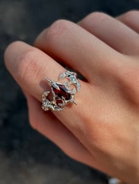Image 1 of Ring “ Pfhe”