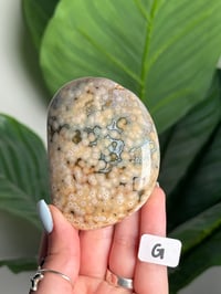 Image 7 of XL CHOOSE YOUR OWN ORBICULAR VEINLESS OCEAN JASPER PALM STONES -MADAGASCAR- 