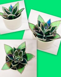 Image 1 of Stained Glass Succulent 