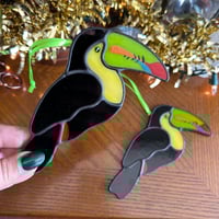 Image 3 of Keel Billed Toucans