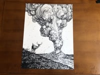 Image 1 of Eruptions and Alertness