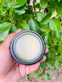 Coconut based Pomade 