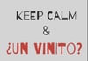 Camiseta KEEP CALM & ¿Un Vinito?