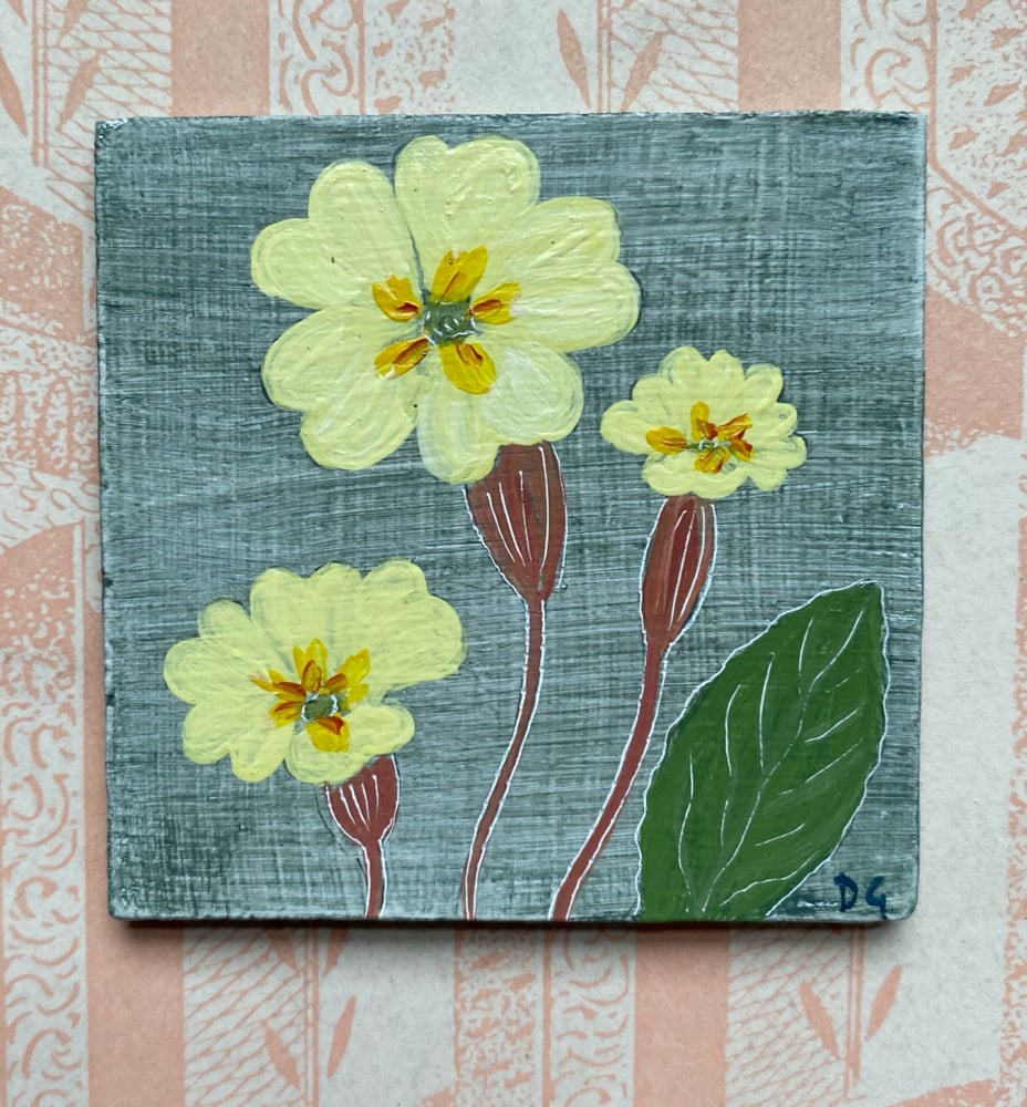 Image of Small Primrose Study (A)