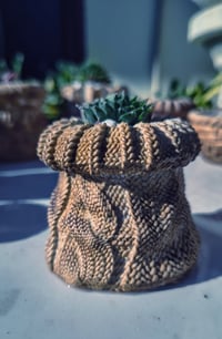 Image 3 of TeraPullover small Sempervivum (με παχύφυτο)