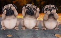 Image 1 of Three Wise Pugs