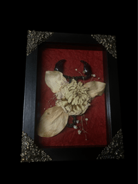 Image 1 of Memorial of a Scorpion 