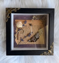 Image 2 of The Last Letter