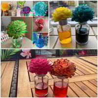 Flower Diffusers