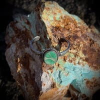 Image 3 of Single Lucin Variscite Cuff- 5.25”