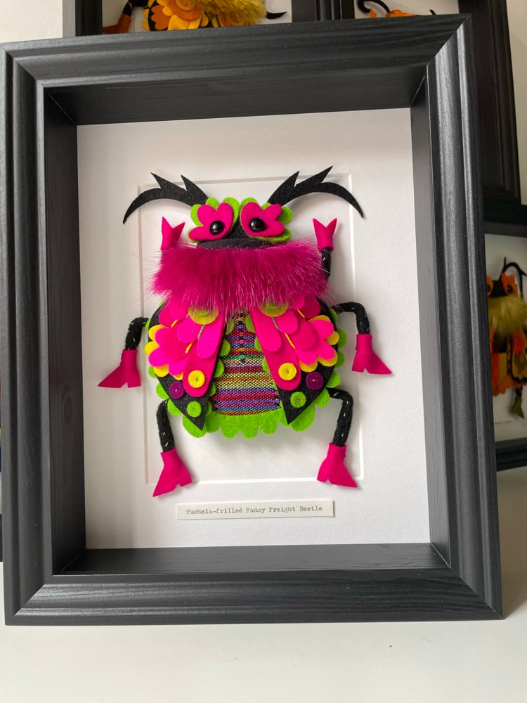 Image of Fuchsia-frilled Fancy Freight Beetle