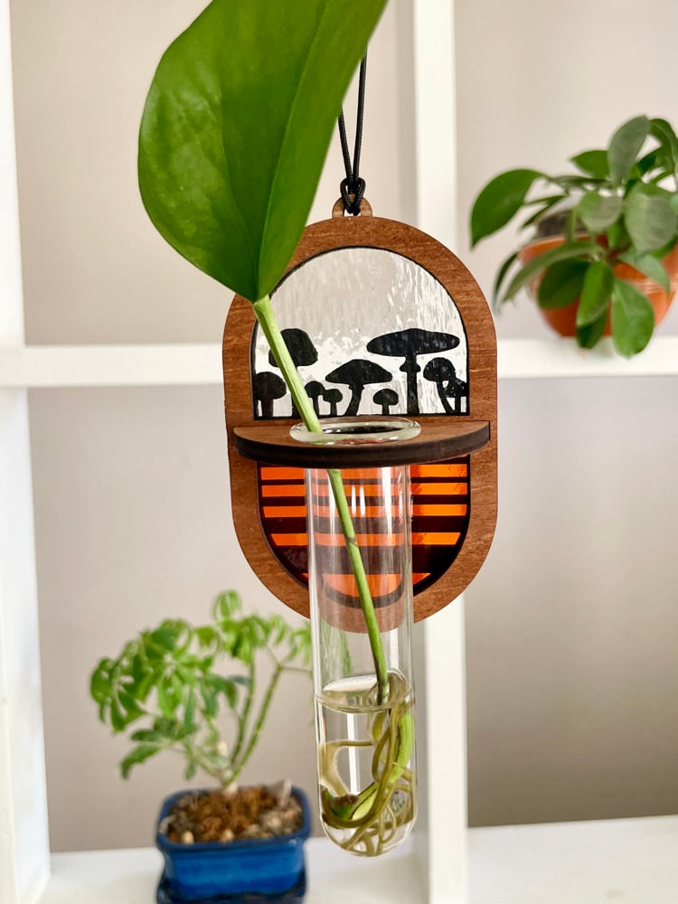 Propagation Station - Shroomin’