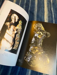 Image 15 of Grape Coloured Breasts, The Dolls of Nori Doi, 1986.