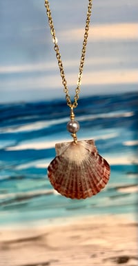 Image 3 of Scallop Shell Necklace N203