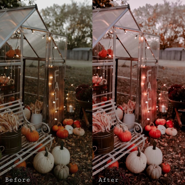 Pumpkin Spice (12 Lightroom Mobile Presets)