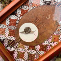 Image 1 of "Portrait of a Snail" original