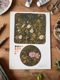 Image 1 of Wild Rose Fine Art Print