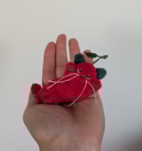 Image 1 of Micro mini cherry kitten