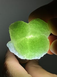 Image 2 of Green Botryoidal Fluorite Specimen #2612
