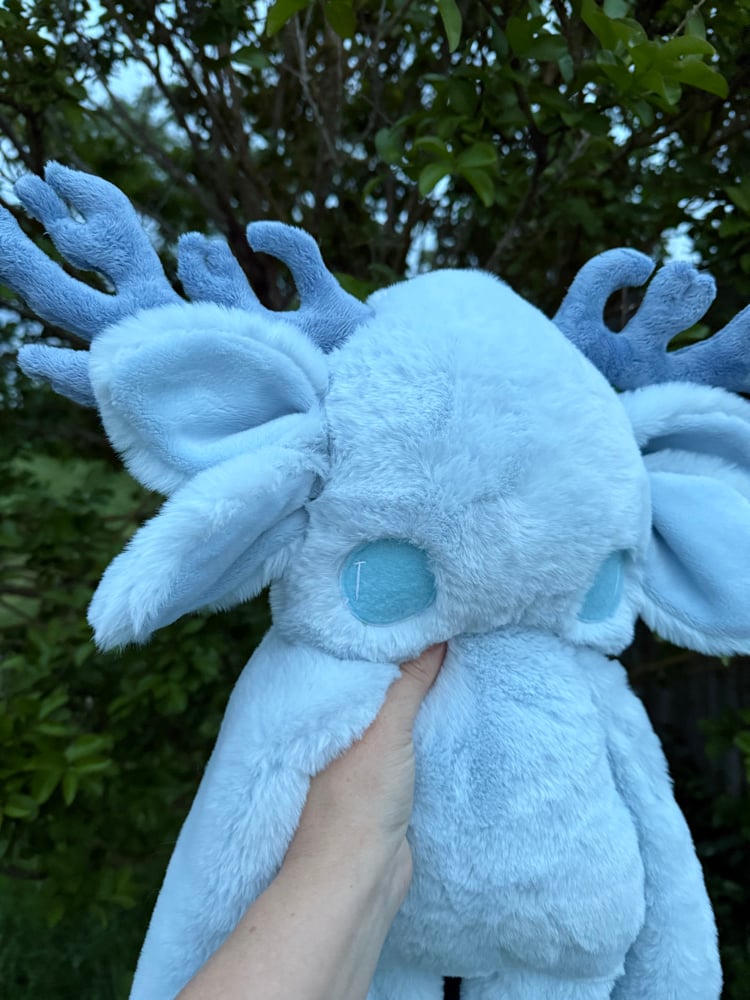 Image of RAFFLE SLOT FOR BLUE VOID