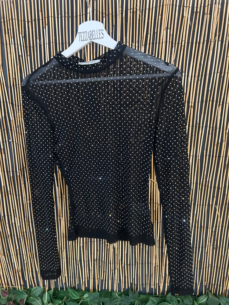 Image of Mesh dimante top 