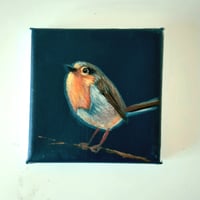 Image 1 of Robin 3