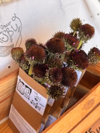 Image 3 of Mama’s Tongue Face Brushes