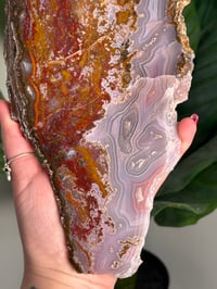 Image 2 of AGUA NUEVA AGATE SLAB D