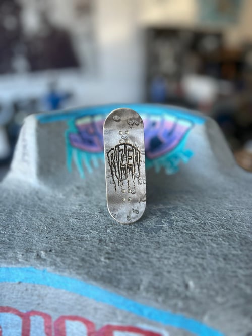 Image of Rizen Turtle