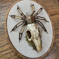 Image 4 of Rabbit skull spider (c, 5x7 inches)
