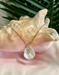 Image 1 of Oyster Shell Necklace N169
