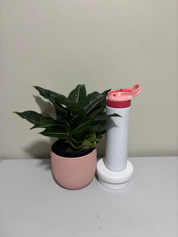 Sublimation Water Bottle