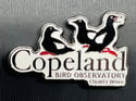 Copeland Bird Observatory Pin Badge