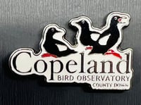 Image 2 of Copeland Bird Observatory Pin Badge