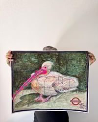 Image 1 of Pelican Perch