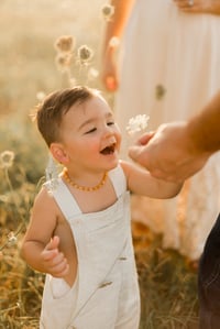 Image 5 of May Flowers Mini Sessions