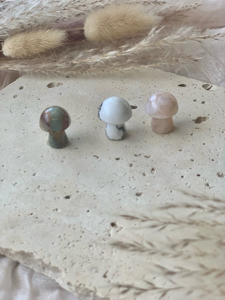 Image of Mini Mushroom Carvings (intuitively chosen) 