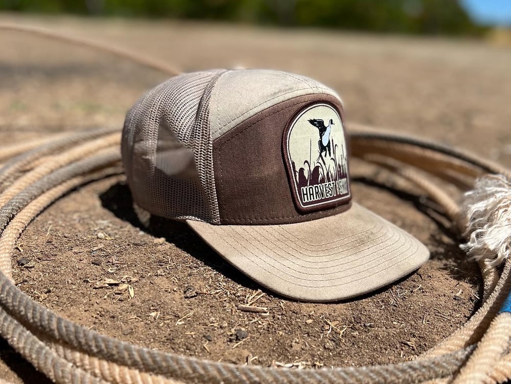 Pintail Panel Hats
