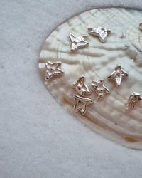 Image 2 of earstuds