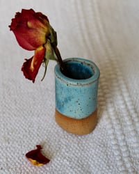 Image 1 of Tiny Vase Magnets