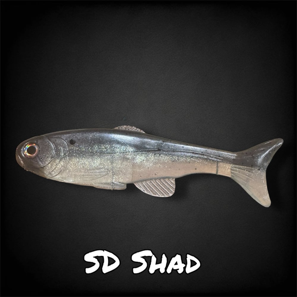 SD Shad