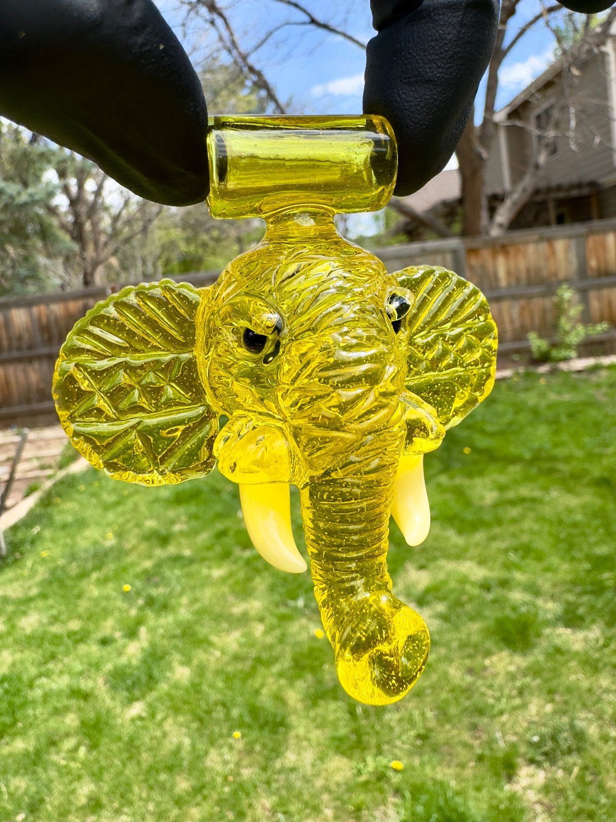 Terps cfl elephant | Dominos glass outlet