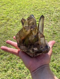 Image 4 of Smoky Citrine Points Cluster #1876