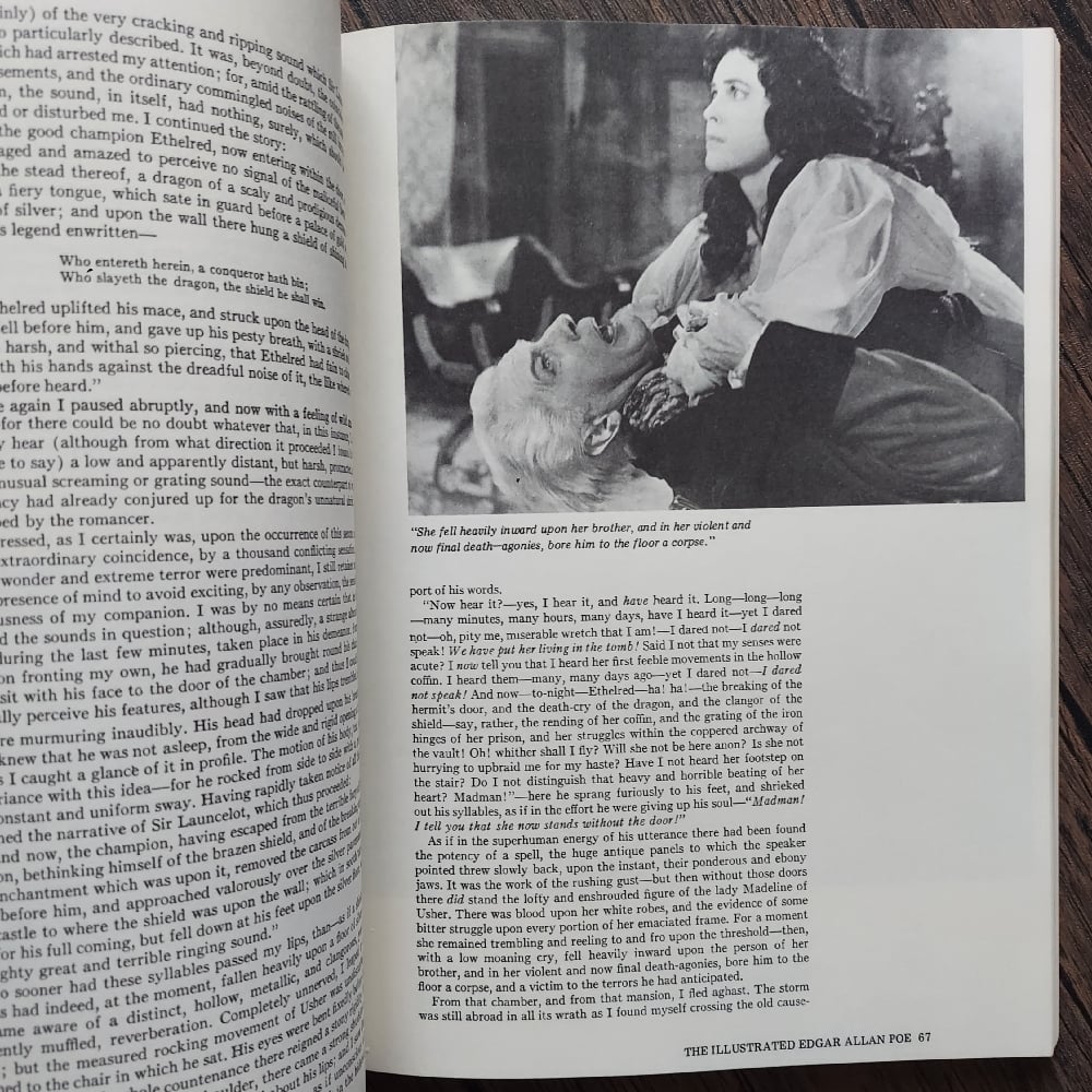The Illustrated Tales of Edgar Allan Poe