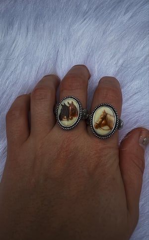 Image of Rope & Ride Ring